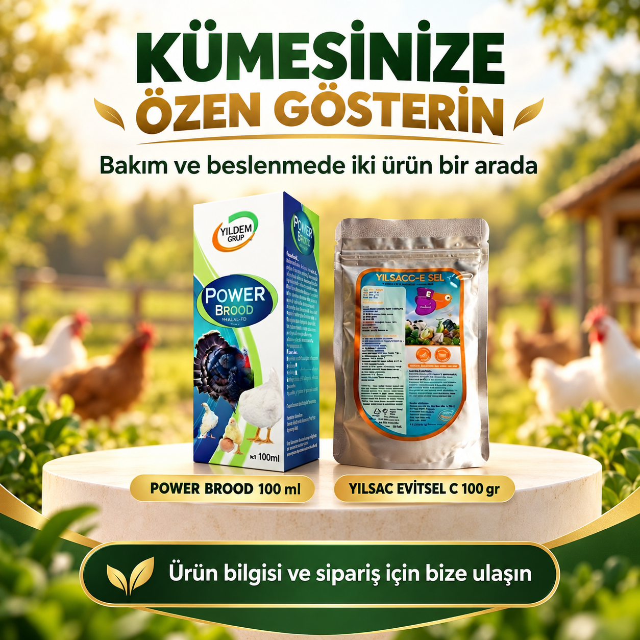Tavuk Yetiştiricileri İçin Power Brood 100 ml ve Yılsac Evitsel 100 gr 